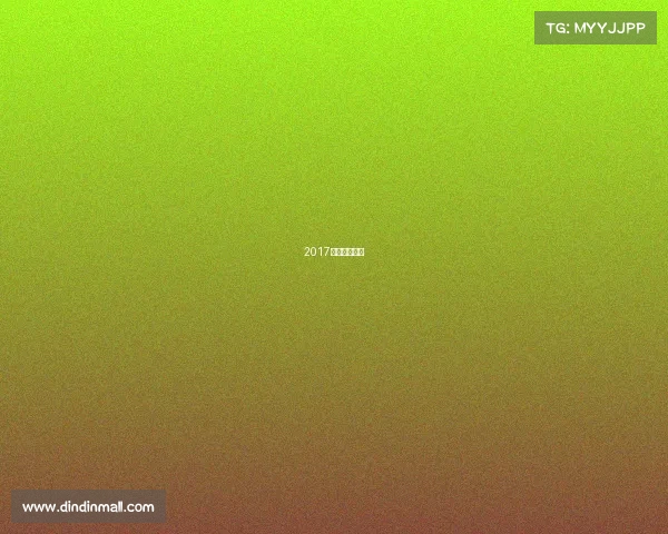 2017年沈阳马拉松